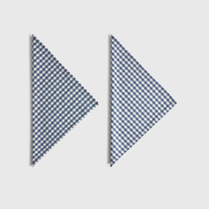 VICHOUT-SERVI-A AZUL-1