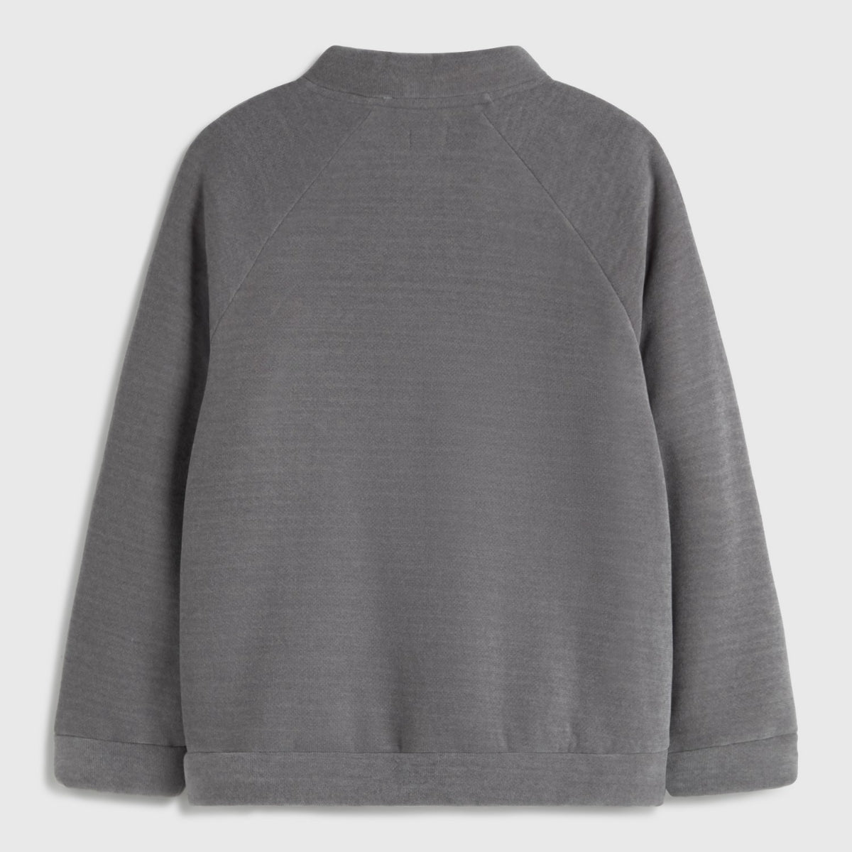 SUSAN-CHAQU-A GRIS-1