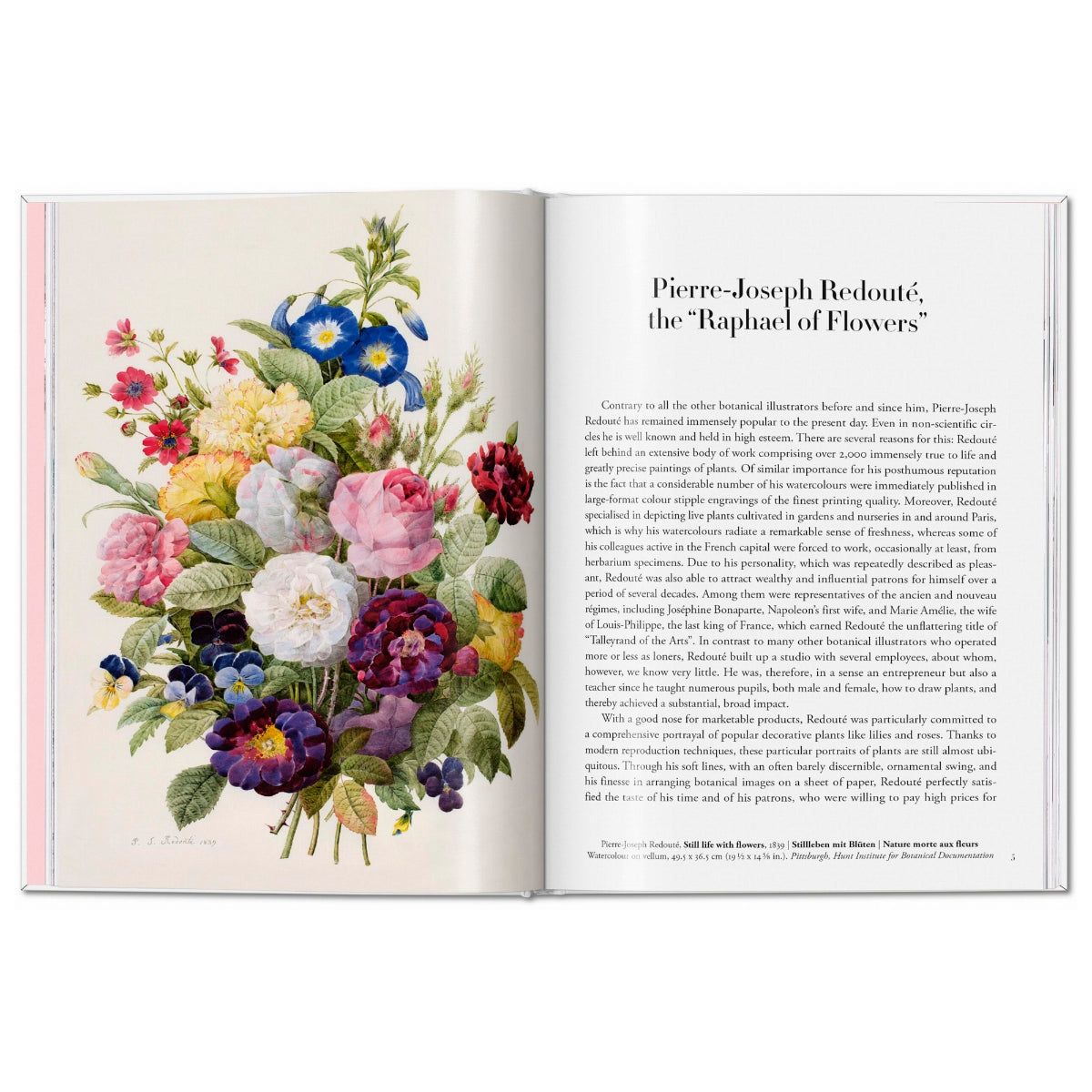 Illustrated book Les Roses Roses white color – Textura Interiors