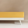 BESTO-BAJER-A AMARILLO-2