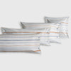 INTIX-FALMO-A AZUL-2
