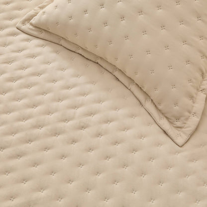 FELSON-COLCH-A MARRON BEIGE-3