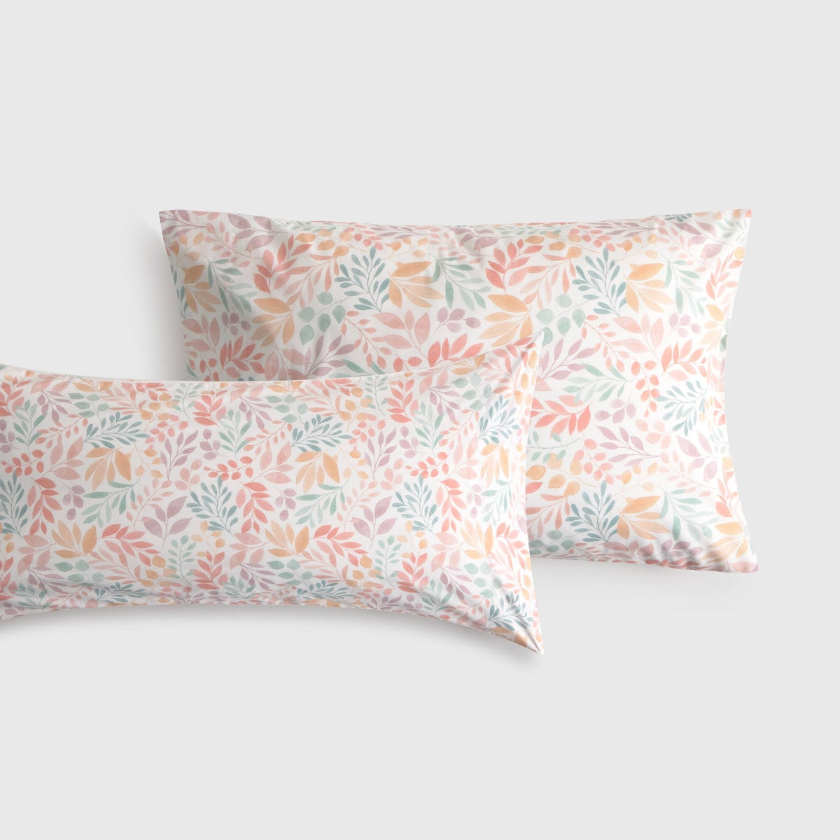 FOLIO-FALMO-A AZUL-2