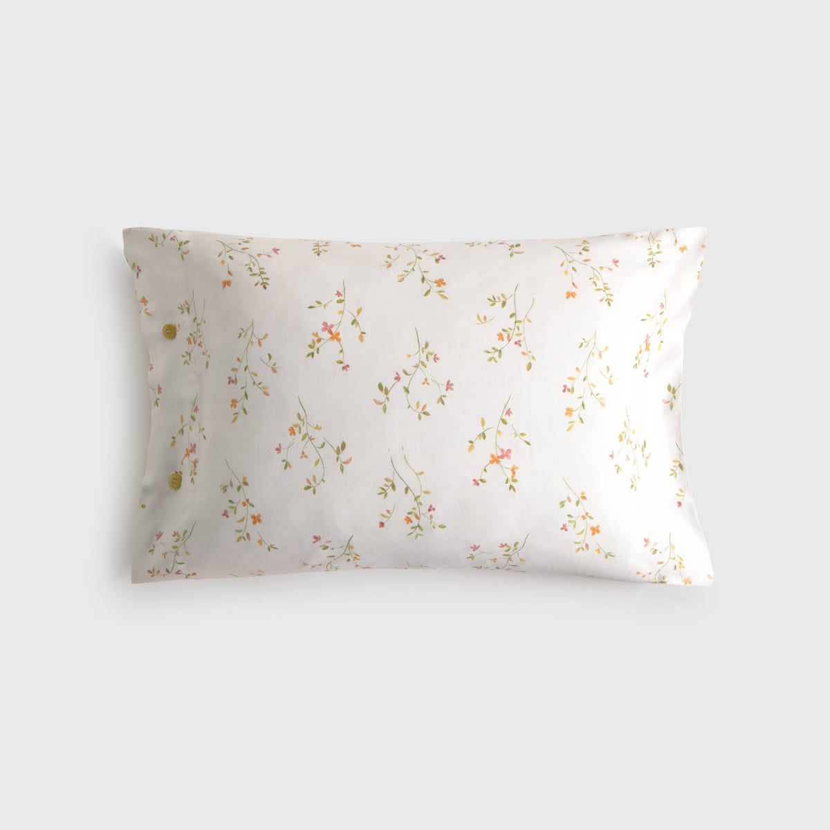 LASUSA-FALMO-A ROSA-1