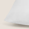 RECVIS-RELLA-A BLANCO-1